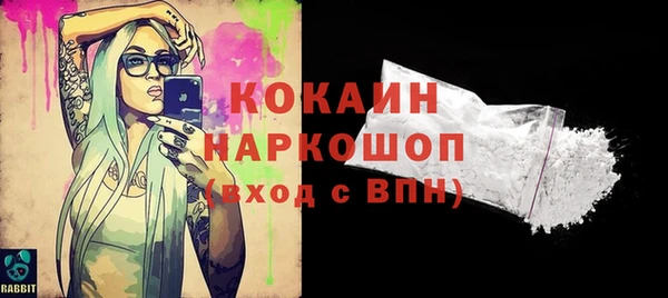PSILOCYBIN Богданович