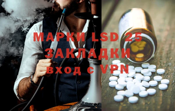 PSILOCYBIN Богданович