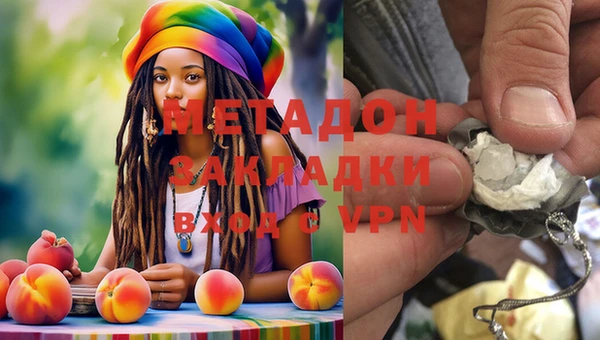 PSILOCYBIN Богданович