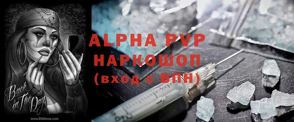 PSILOCYBIN Богородицк