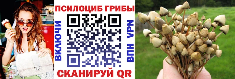 Галлюциногенные грибы MAGIC MUSHROOMS Котельники